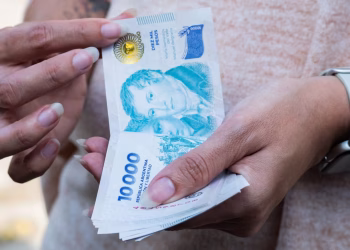 Plazo fijo: cuánto rinde invertir $800.000 en enero de 2025