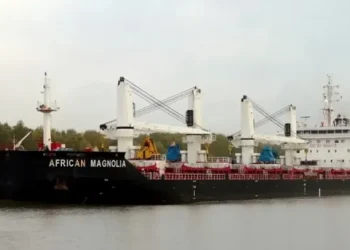 Alerta en Rosario por un buque desde Nigeria con un tripulante muerto: investigan si fue por ébola