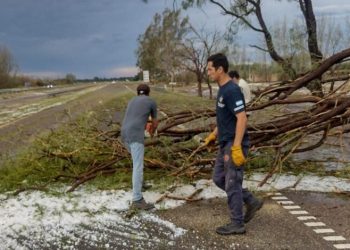 Una fuerte tormenta causó importantes daños en el este mendocino