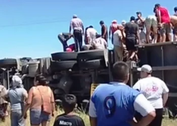 Volcó un camión con 75 vacas en la ruta 8: lo saquearon y las faenaron en la banquina