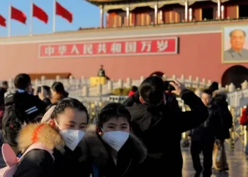 Alerta: Qué es el metapneumovirus humano, el microorganismo que provocó saturación de hospitales en China