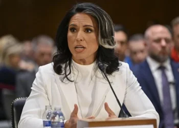 El Senado confirma a Tulsi Gabbard como directora de la Inteligencia de EE.UU.