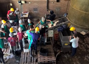 Hay cinco escuelas sanrafaelinas que enseñan a hacer vino