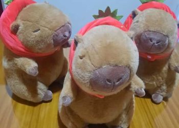 La fiebre del “Capibara” de San Valentín llegó a San Rafael