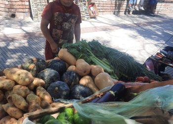 Con solo 10 años, un niño sanrafaelino se hizo viral por ayudar a sus papás vendiendo frutas y verduras