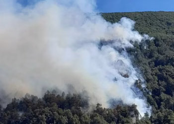 El fuego no da tregua en la Patagonia: los incendios arrasaron más de 18 mil hectáreas