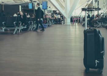 Viajes inteligentes: cómo utilizar la IA para planificar unas vacaciones perfectas