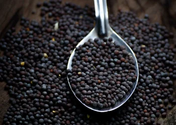 Por qué hay que poner granos de mostaza en la puerta de casa