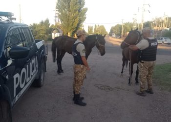 Dos detenidos por presunto robo de caballos