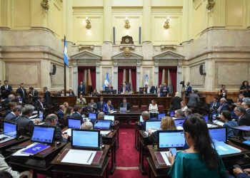 Red Ser Fiscal cuestionó la suspensión de las PASO y advirtió sobre sus consecuencias