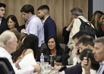 El proyecto de Ficha Limpia con el camino allanado para ser votado en Diputados