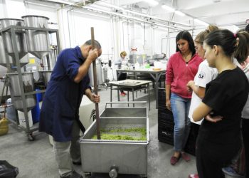 Vinificación: desde la FCAI trabajan junto a la escuela Iaccarini en la elaboración de vinos