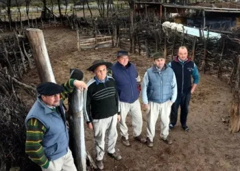 Estancia Yaucha: el plan de San Carlos para destrabar el conflicto en los campos que Javier Milei quiere vender