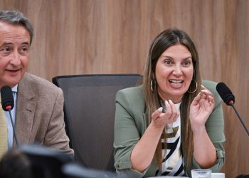 Ficha limpia: el Gobierno logró el dictamen de su proyecto en Diputados