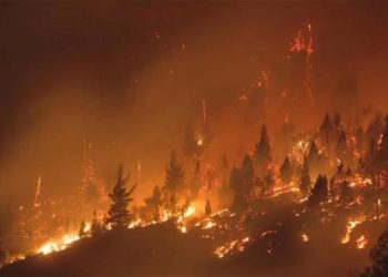 El humo de los incendios en la Patagonia se hizo presente en el sur de Mendoza