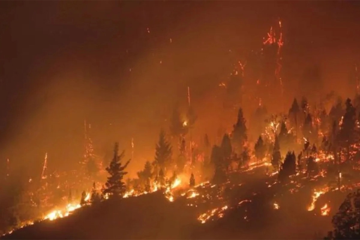 El humo de los incendios en la Patagonia se hizo presente en el sur de ...