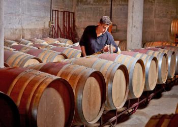 Las exportaciones de vino a granel argentino crecieron en 2024 impulsadas por el malbec y los genéricos