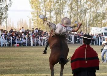 Presentaron oficialmente la 25ª edición del Festival Nacional del Caballo