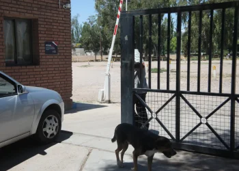 Conmoción en Mendoza: Un niño de 5 años murió ahogado en la pileta del club Marista de Luján de Cuyo