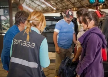 Productores mendocinos esperan que las ventas crezcan un 50% por las nuevas desregulaciones a las frutas