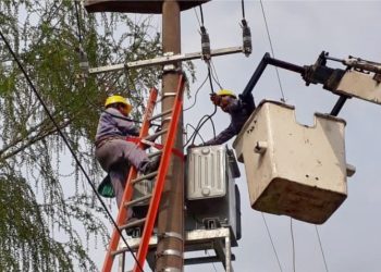 Edemsa retiró conexiones clandestinas en la Isla del Río Diamante