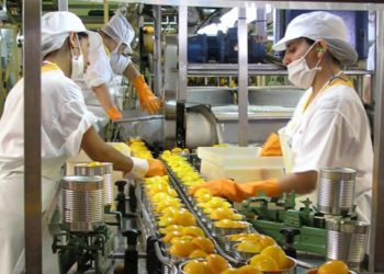 Preocupación en el sector conservero local por la gran apertura a las importaciones
