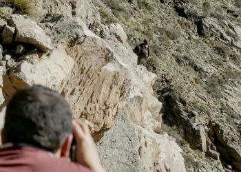 Mendoza realizó el 18° censo simultáneo de cóndores para evaluar su población