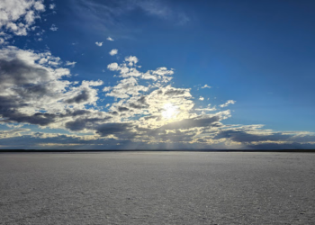 Piden proteger las Salinas del Diamante por sus “humedales, ecosistema y biodiversidad”