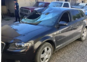 Detuvieron al conductor que atropelló, mató a un ciclista y huyó en Tupungato