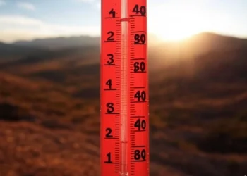 Calor: La provincia de Mendoza batió un nuevo récord
