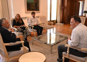 Una empresa china invertirá una millonaria cifra en Mendoza: en qué sector lo hará