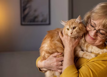 ¿Cuánto tiempo tardan los gatos en olvidar a sus dueños?