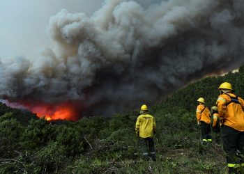 Los incendios en la Patagonia en primera persona: así se vive el combate del fuego
