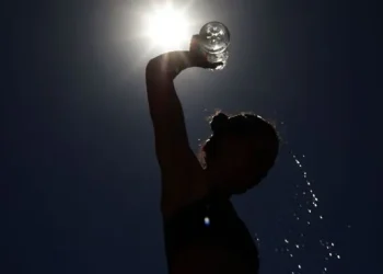 Sin respiro: Pronostican una nueva ola de calor para la provincia de Mendoza
