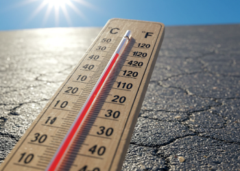 La mitad del país sigue bajo alerta por calor extremo: San Rafael es una de las regiones afectadas