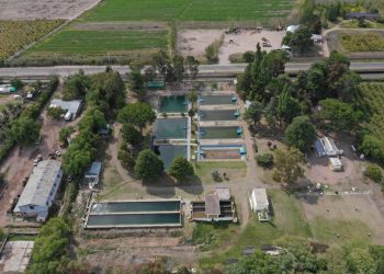 Avanzan las obras de agua y cloacas que Nación había abandonado en San Rafael