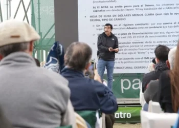 Melconian criticó al Gobierno: «No tiene un plan de estabilidad»