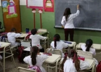 Uno de cada dos chicos no entiende lo que lee, según un nuevo monitoreo