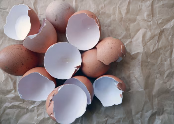 Por qué hay que poner cascaritas de huevo debajo de las camas de toda la casa y para qué sirve