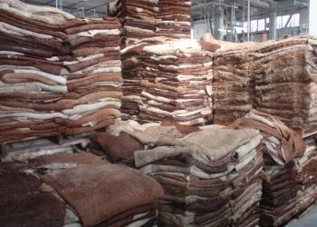 Desregulación del mercado del cuero: una oportunidad para el sur de Mendoza