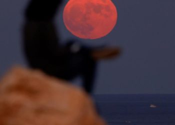 Luna llena rosa de abril: cuál es el origen de su curioso nombre y cuándo podrá verse este 2025