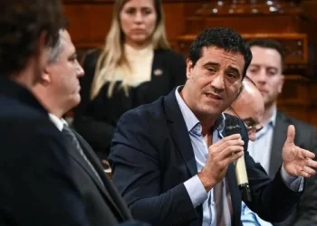 Duro cruce entre los senadores radicales Lousteau y Abad