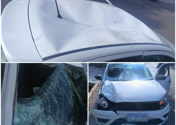 Provincia de Mendoza: Murió un chico de 14 años que fue atropellado por un auto
