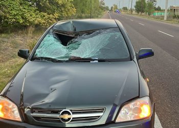 Alvear: un ciclista grave tras ser atropellado por un conductor borracho