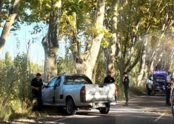Camioneta chilena chocó en el túnel de plátanos de Cuadro Bombal
