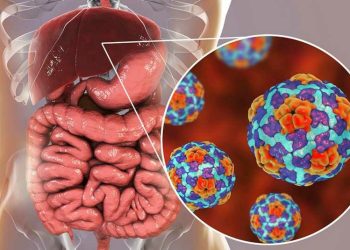 La importancia de la vacunación para prevenir brotes de hepatitis A