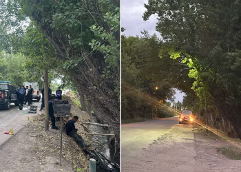 Murió un motociclista en la provincia de Mendoza tras chocar contra un árbol