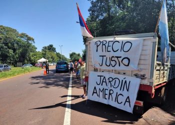 Productores yerbateros de Misiones en pie de guerra por la desregulación del mercado