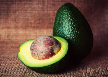 Oro verde: el truco de los viveros para que la planta de palta dé frutos en muy poco tiempo