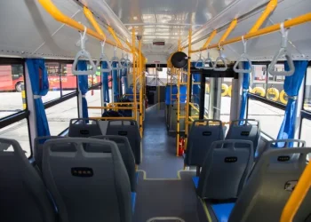 Vendimia 2025: cómo funcionará el transporte durante los festejos